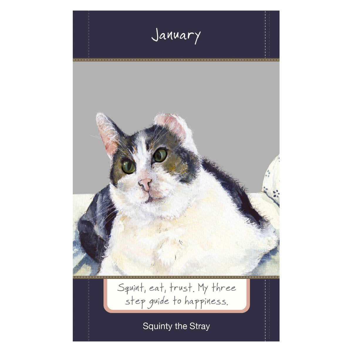 2025 Magnificent Moggies Diary