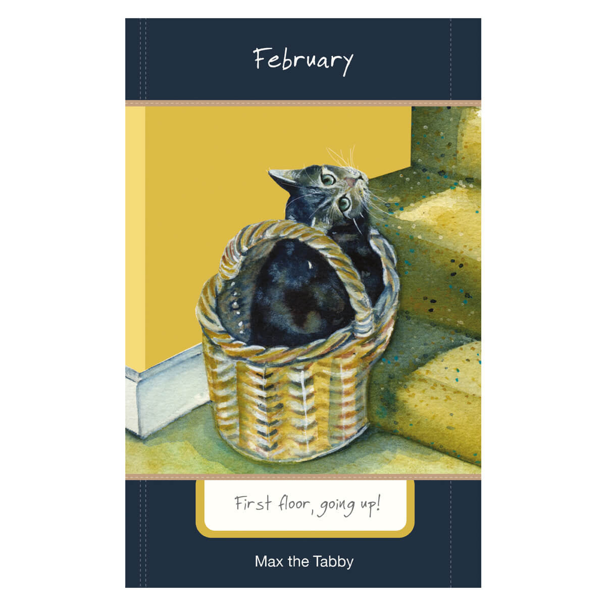 2025 Magnificent Moggies Diary
