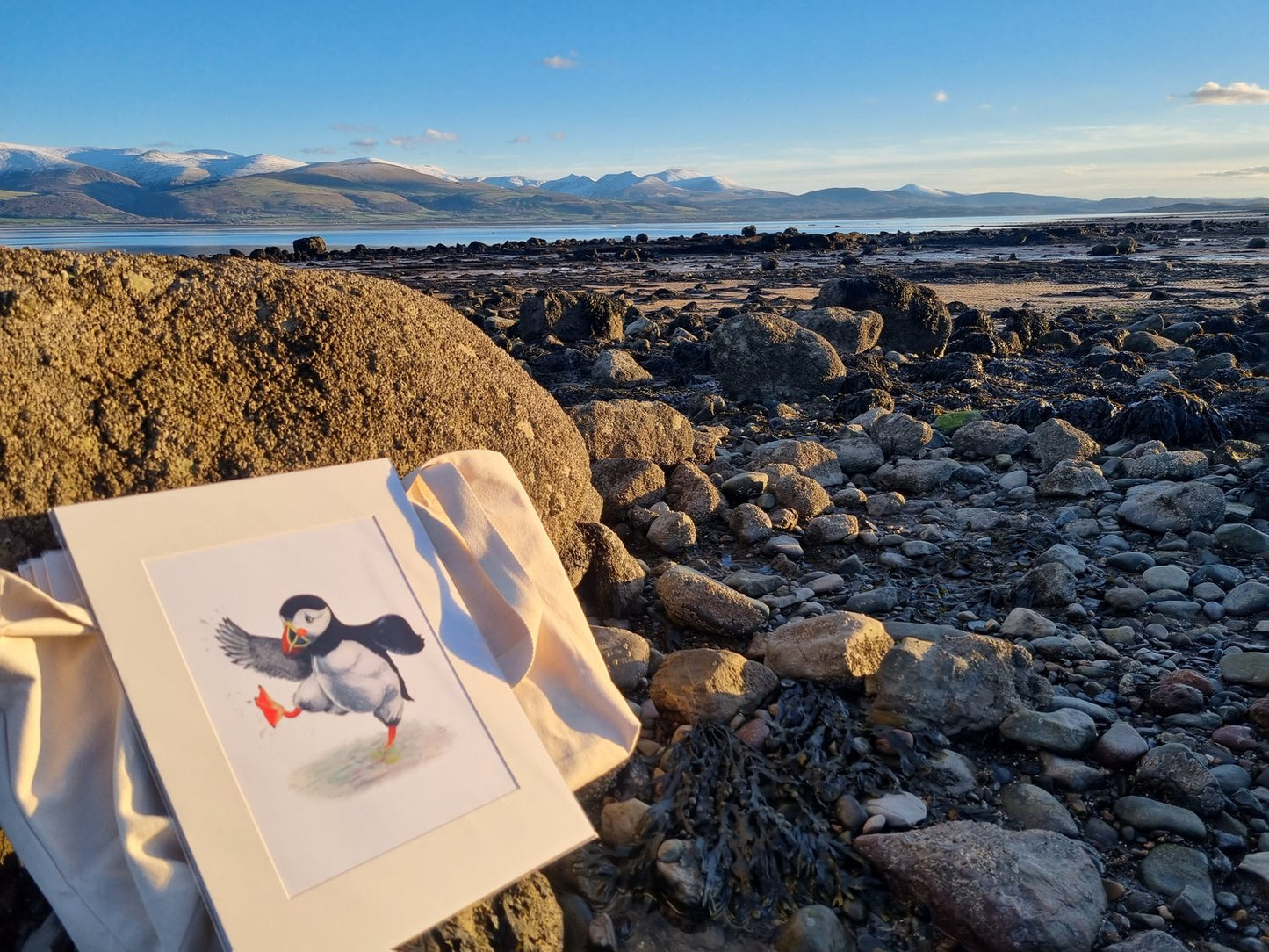 Mounted Paddlin’ Puffin Print