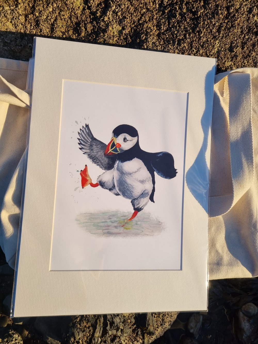 Mounted Paddlin’ Puffin Print