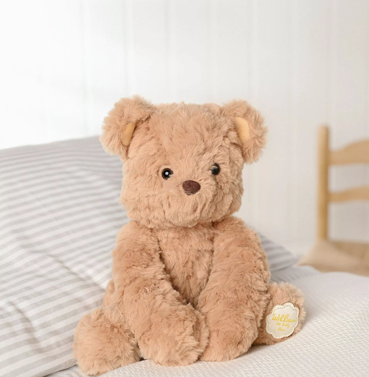 Wiliam the Brown Bear Plush (Sitting 22cm)