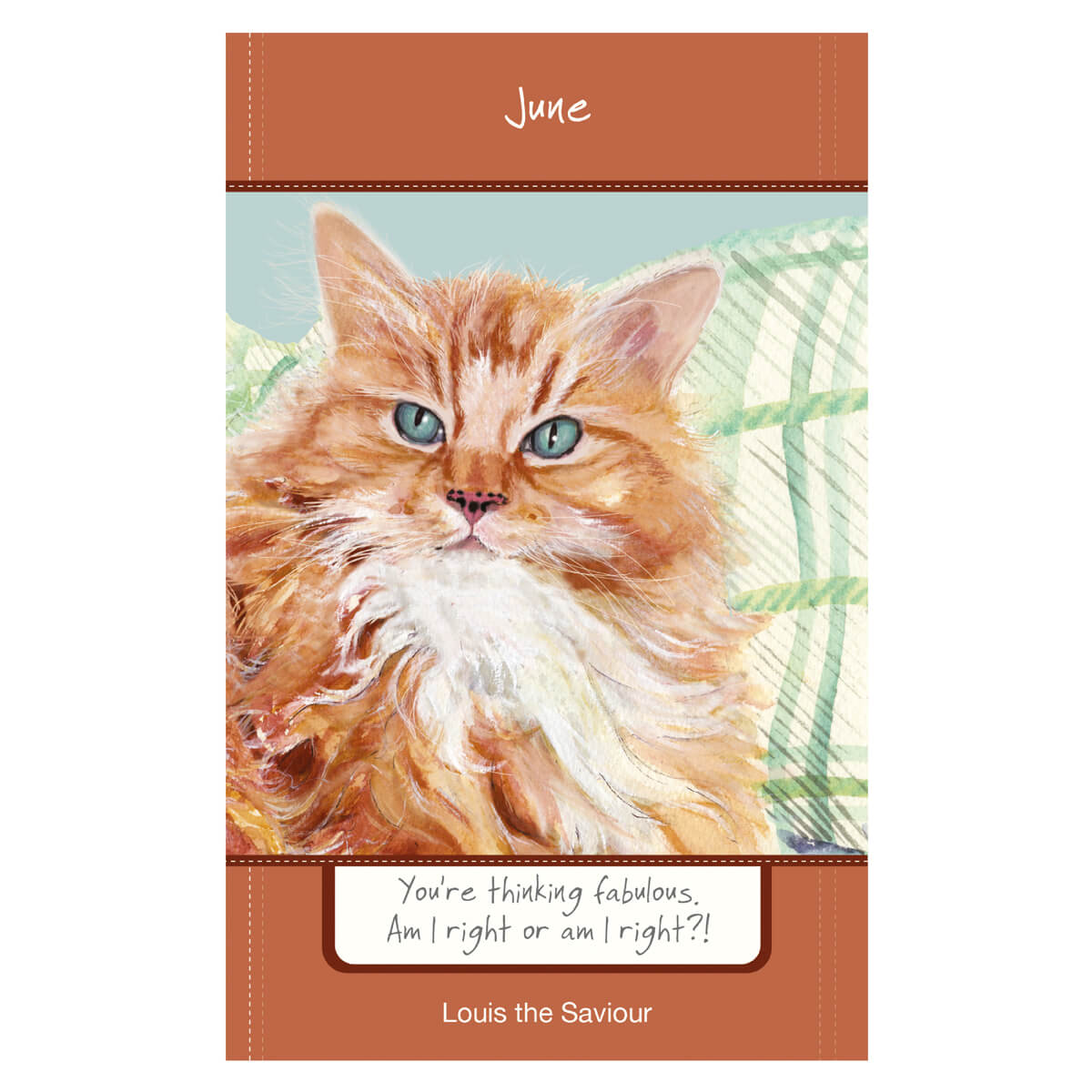 2025 Magnificent Moggies Diary