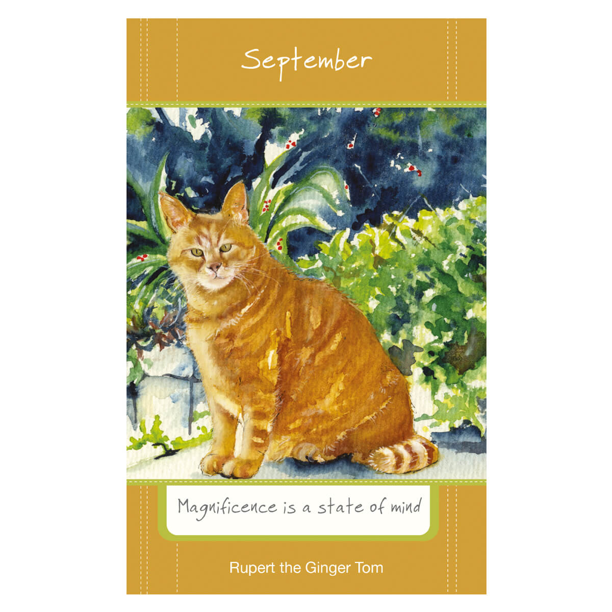 2025 Magnificent Moggies Diary