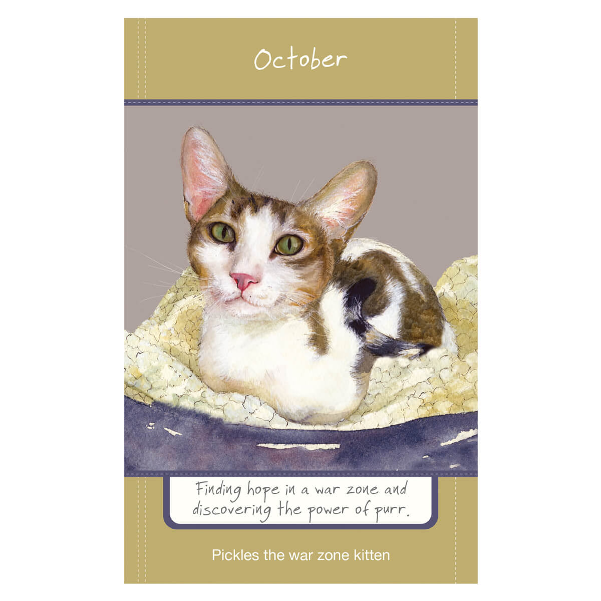 2025 Magnificent Moggies Diary