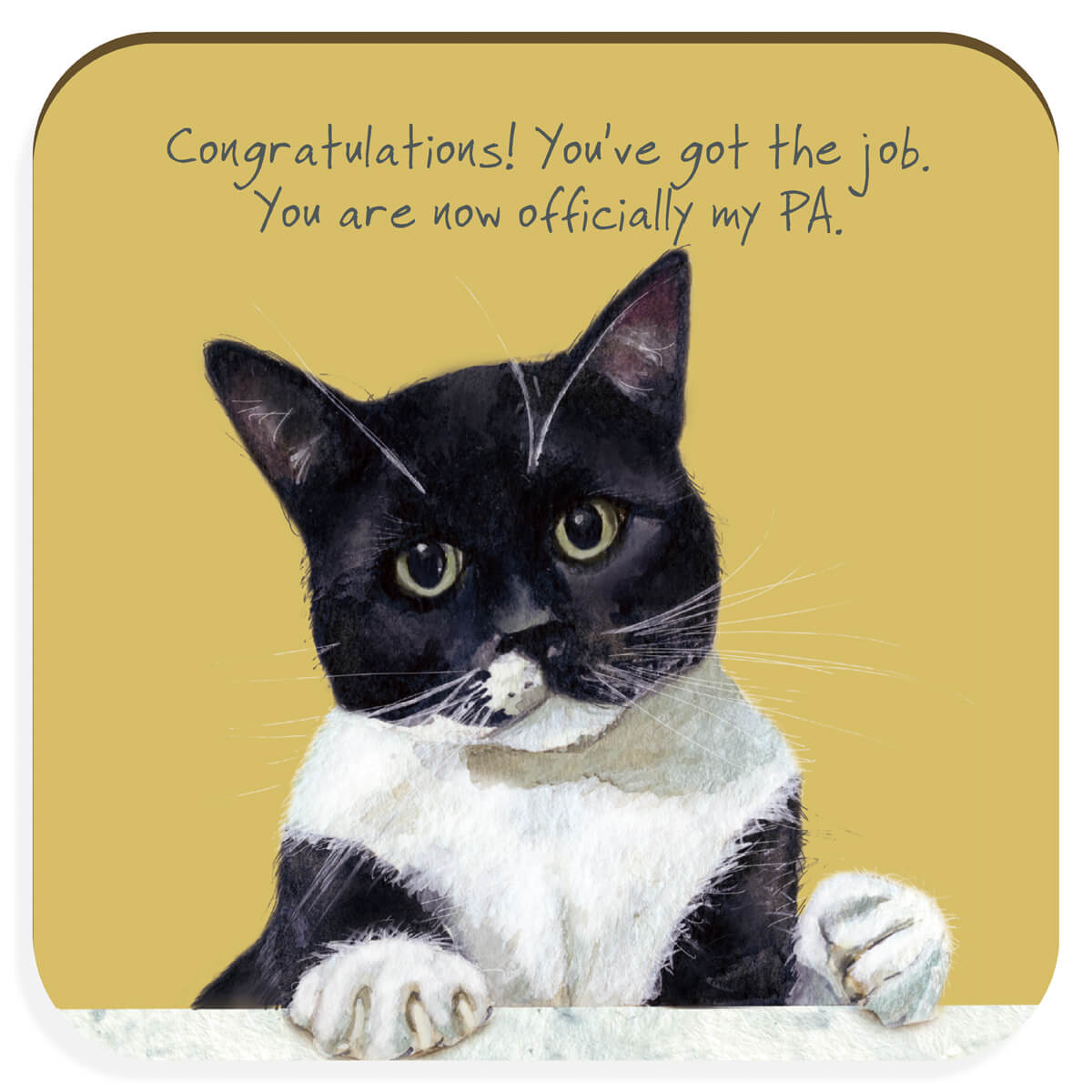 Tuxedo Cat Coaster | Little Dog Laughed