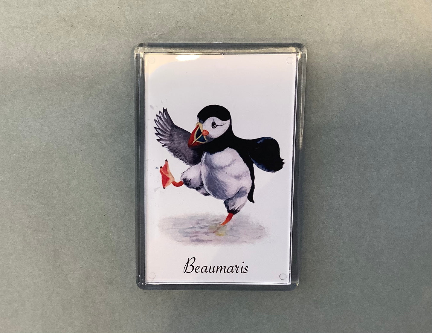 Puffin Prints Beaumaris Magnet