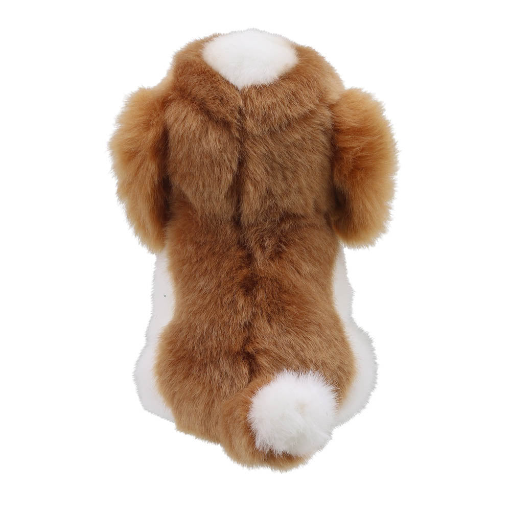 Wilberry Mini King Charles Spaniel