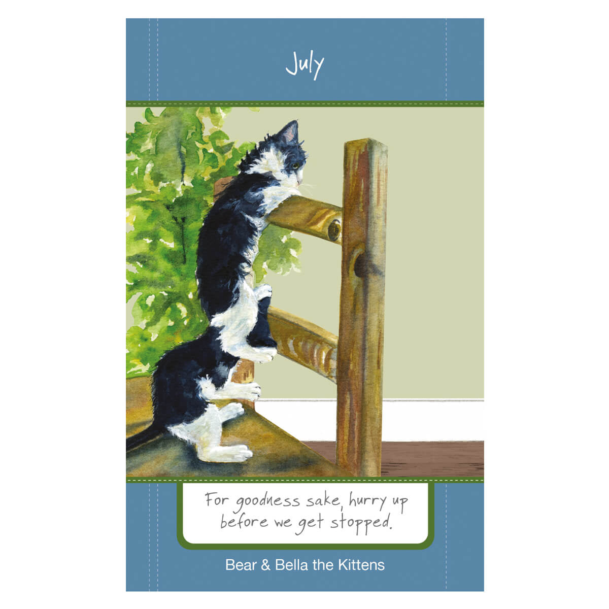 2025 Magnificent Moggies Diary