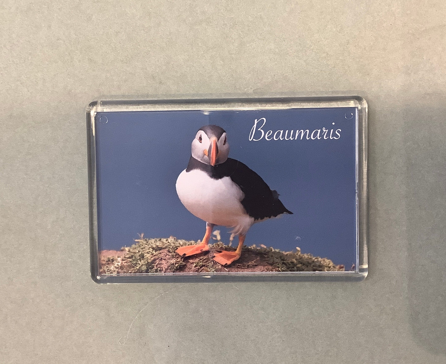 Puffin Prints Beaumaris Magnet David Braiden Photography