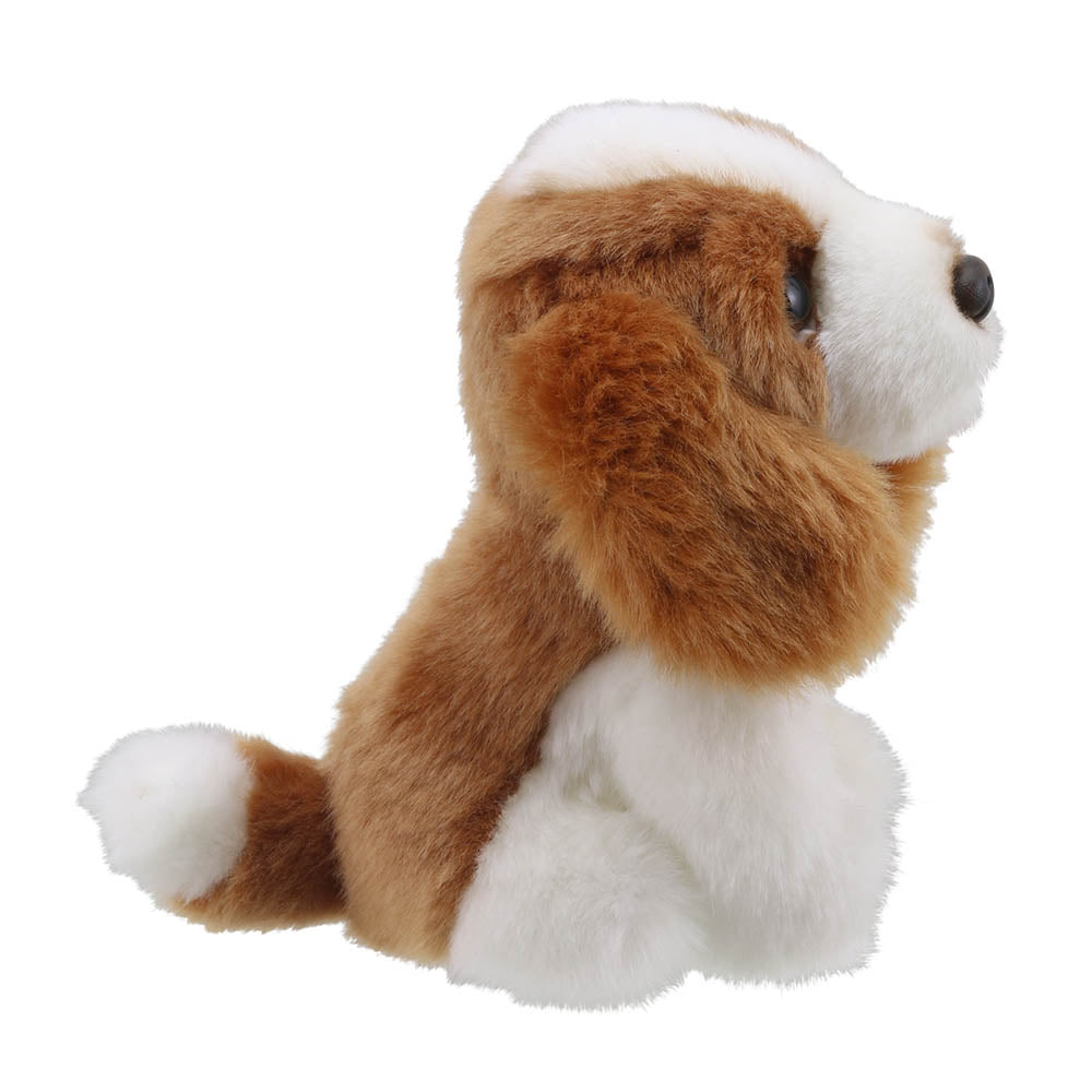 Wilberry Mini King Charles Spaniel
