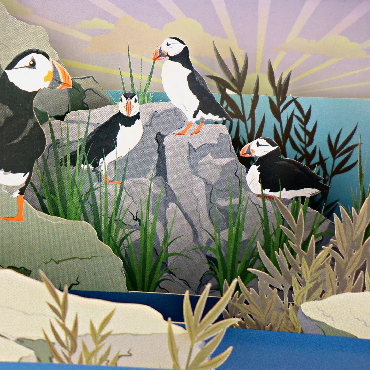 Alljoy Design Puffins Message In A Bottle Card