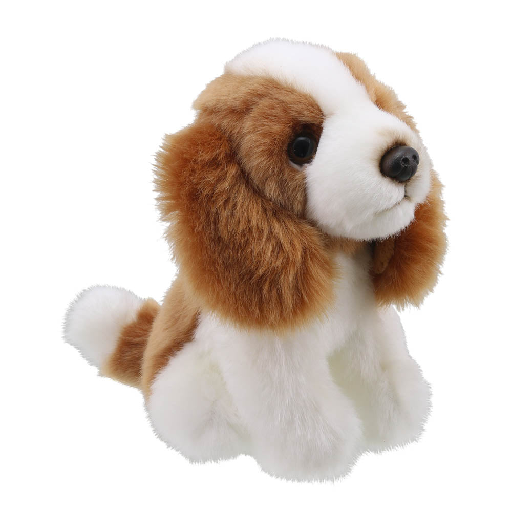Wilberry Mini King Charles Spaniel