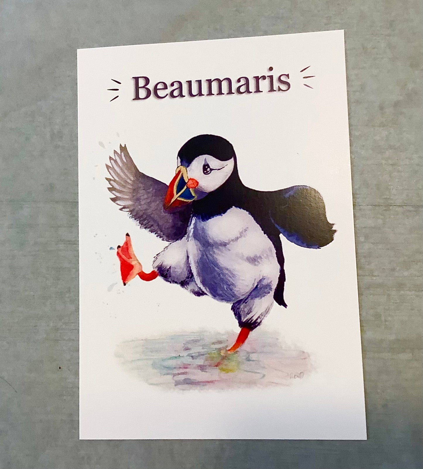 Beaumaris Puffin Postcard