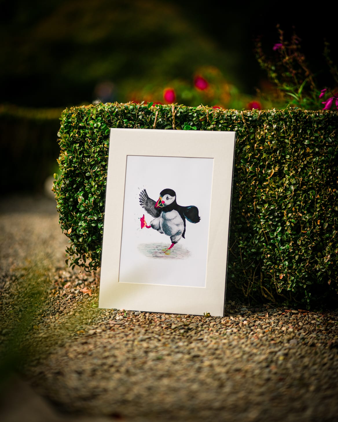 Mounted Paddlin’ Puffin Print