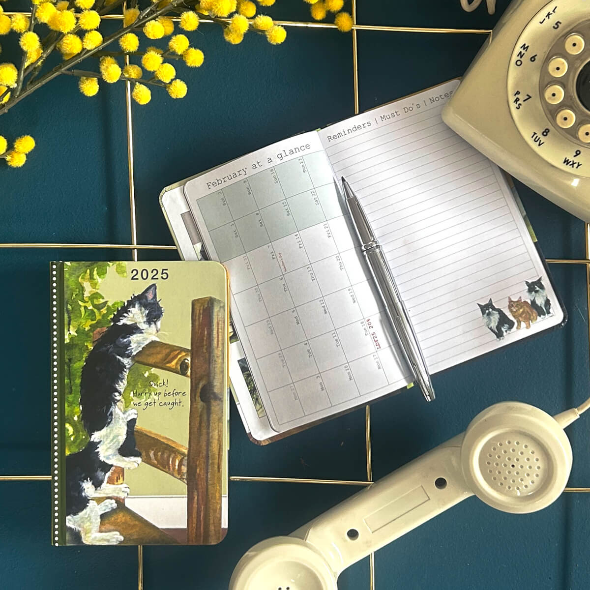 Marvellous Moggies 2025 Diary