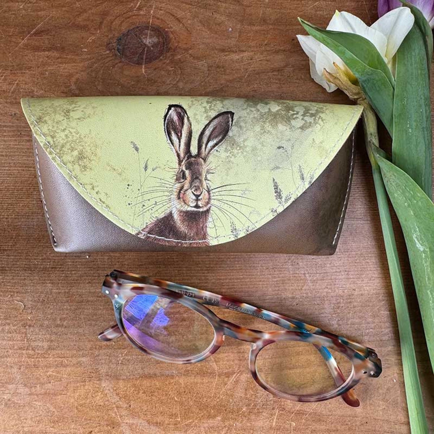 Hare Spectacle Case