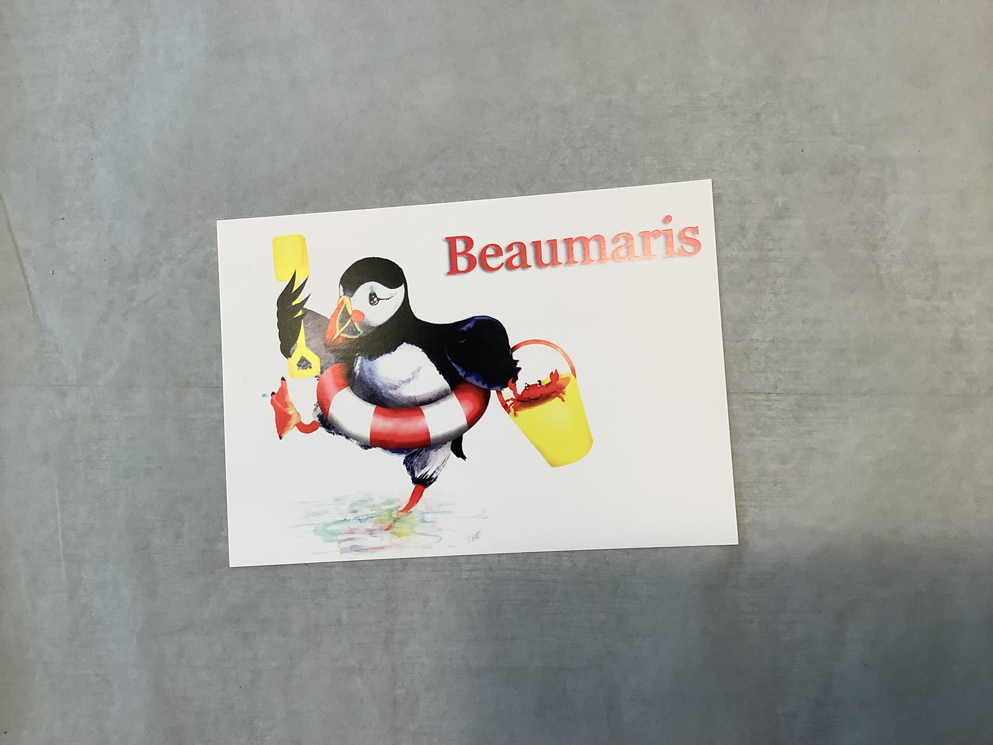 Crabbin’ in Beaumaris Puffin Postcard