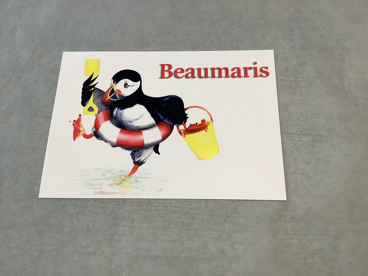 Crabbin’ in Beaumaris Puffin Postcard