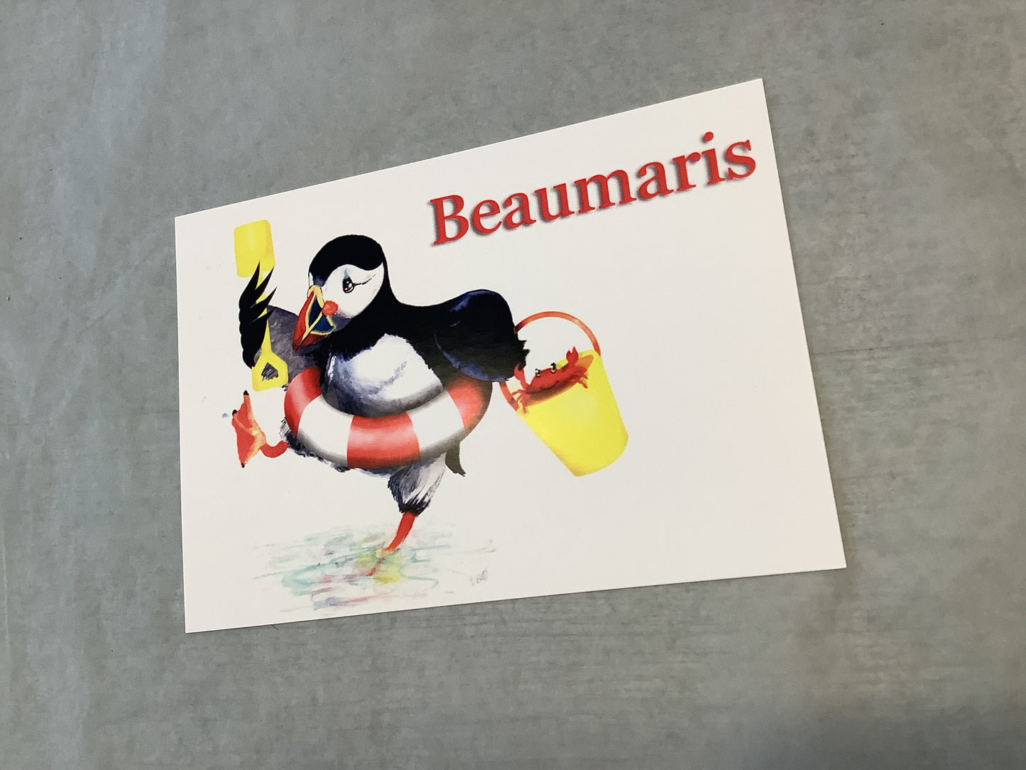 Crabbin’ in Beaumaris Puffin Postcard
