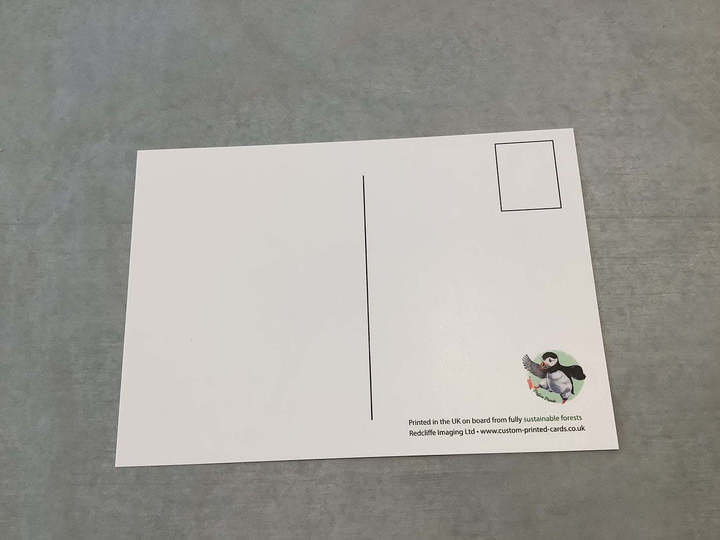 Beaumaris Puffin Postcard