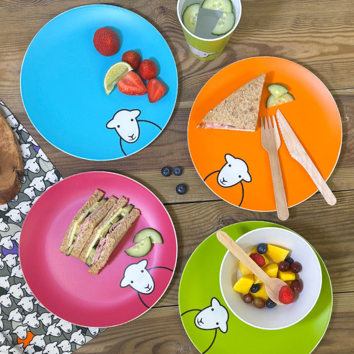 Hello Picnic Plate Set