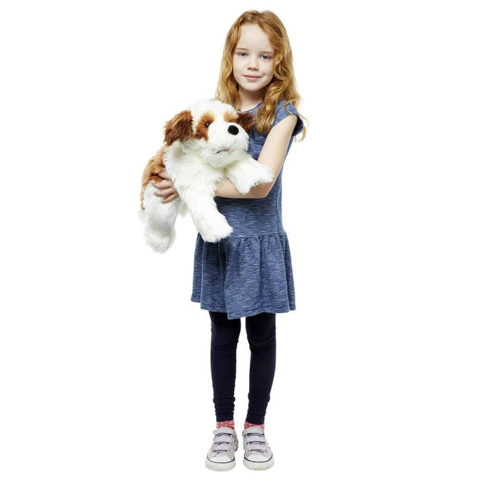 Brown & White – Playful Puppies