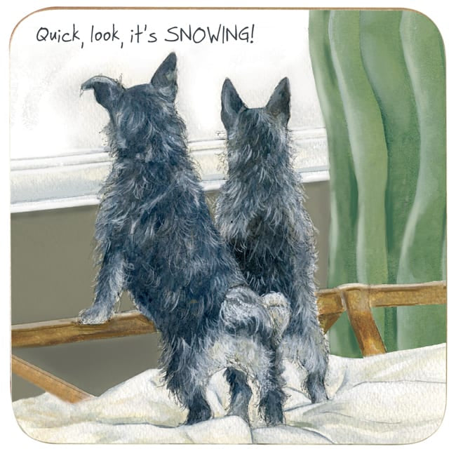 Coaster – Terrier Snow Day by Little Dog Laughed