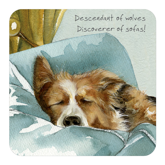 Coaster - Saddleback Border Collie by The Little Dog Laughed
