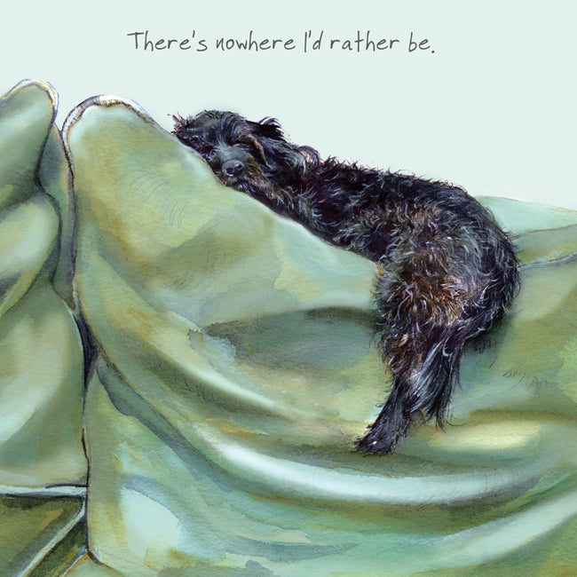 Card - Little Black Dog Nowhere I’d Rather Be by The Little Dog Laughed