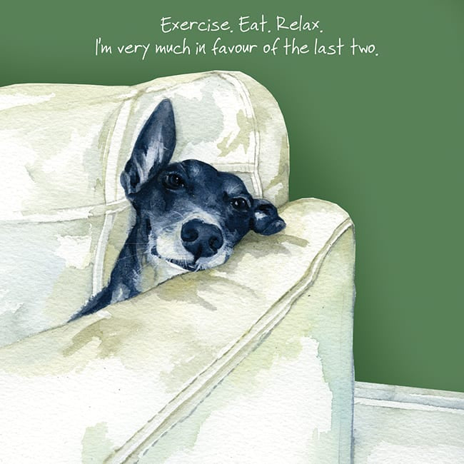 Card - Greyhound Exercise Eat Relax by The Little Dog Laughed
