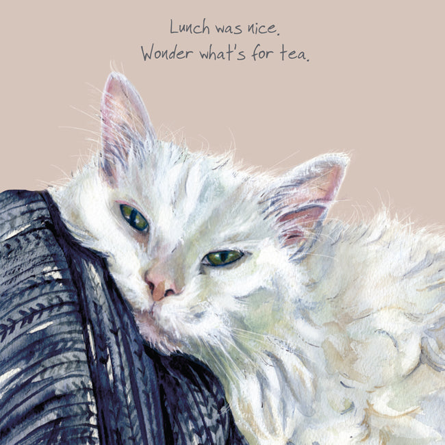 Card - Maine Coon Cat Tea by The Little Dog Laughed