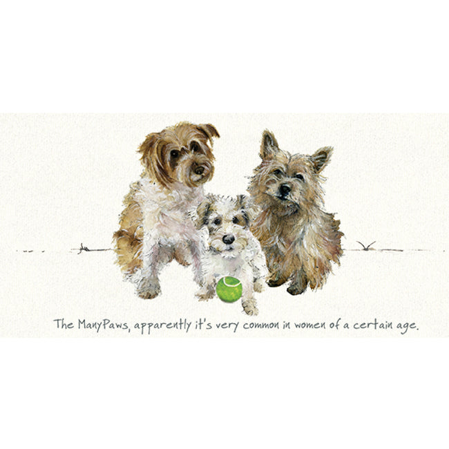 Card - Terrier Dogs by The Little Dog Laughed