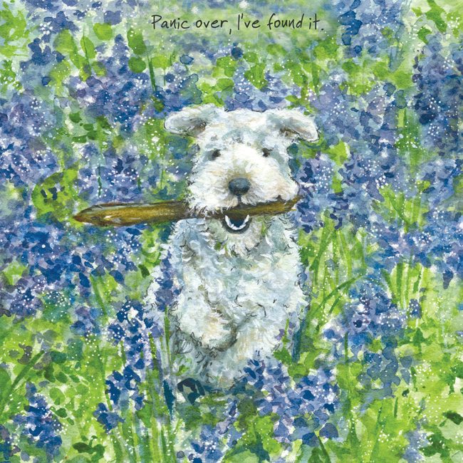 Card - Lakeland Terrier Panic Over Bluebells by The Little Dog Laughed
