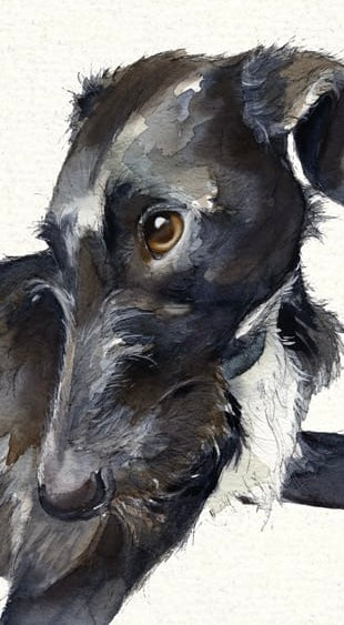Card - Lurcher Greeting Card by The Little Dog Laughed