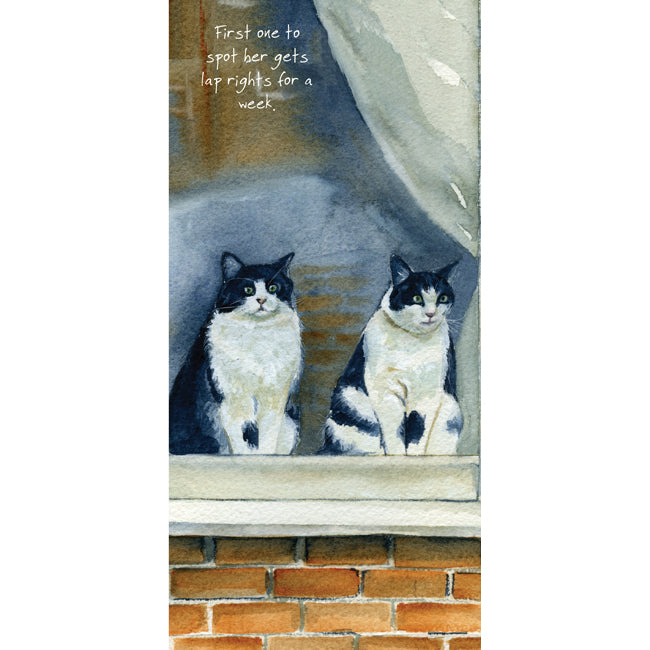 Card - Window Cats Greeting Card by The Little Dog Laughed