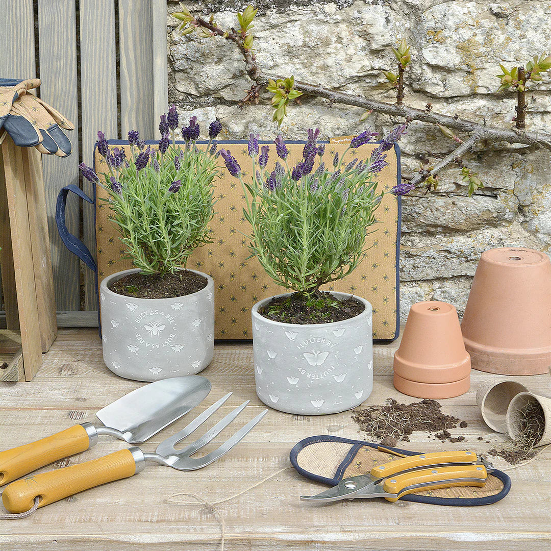 Bees Secateurs Set by Sophie Allport