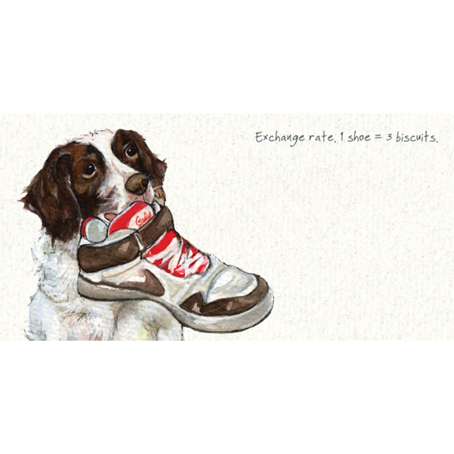 Card - Springer Spaniel Greeting Card by Little Dog Laughed