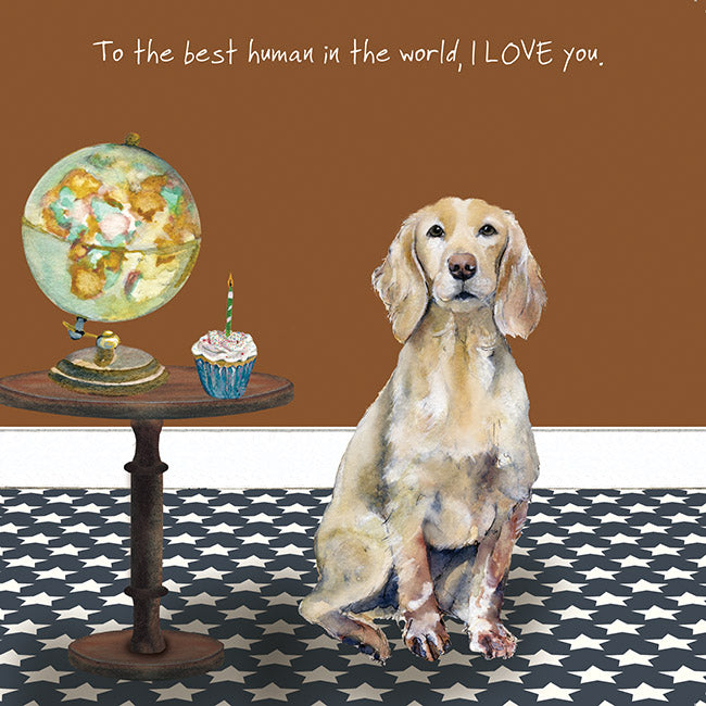 Card - Working Cocker Spaniel Greeting Card by The Little Dog Laughed