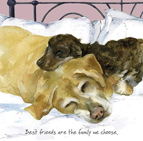Card - Choose Family Greetings Card by The Little Dog Laughed