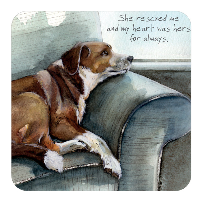 Coaster - Rescue Dog by The Little Dog Laughed