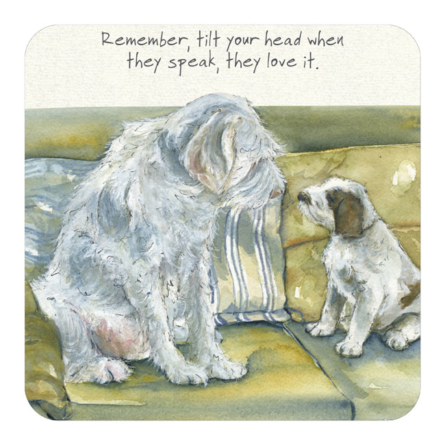 Coaster - Spinone Tilt Head by The Little Dog Laughed