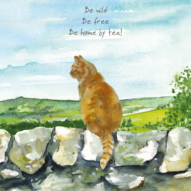 Card - Ginger Cat Be Wild by Little Dog Laughed