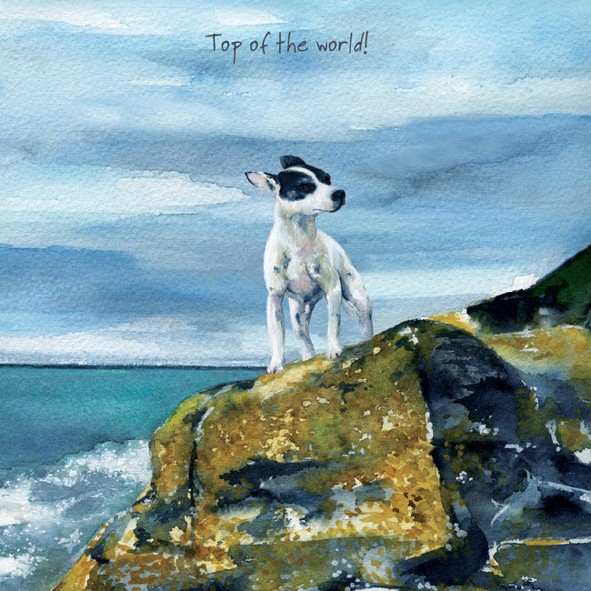 Card - Jack Russell Rescue Dog by Little Dog Laughed