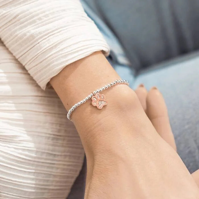 A Little ‘Love Has Four Paws’ Bracelet in Silver Plating