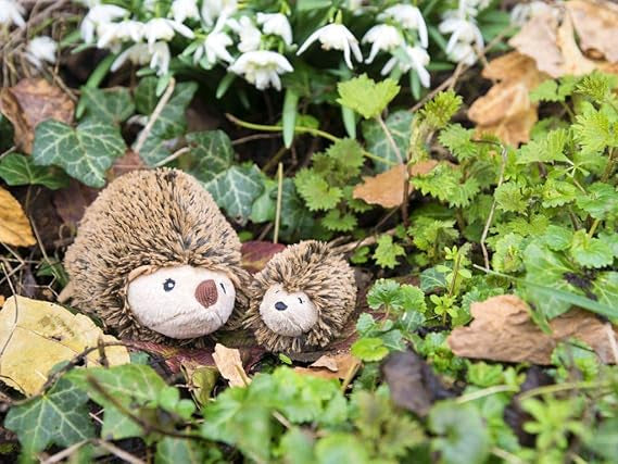 Sew Me Up Hedgehog & Hoglet Gift in a Tin by Apples To Pears
