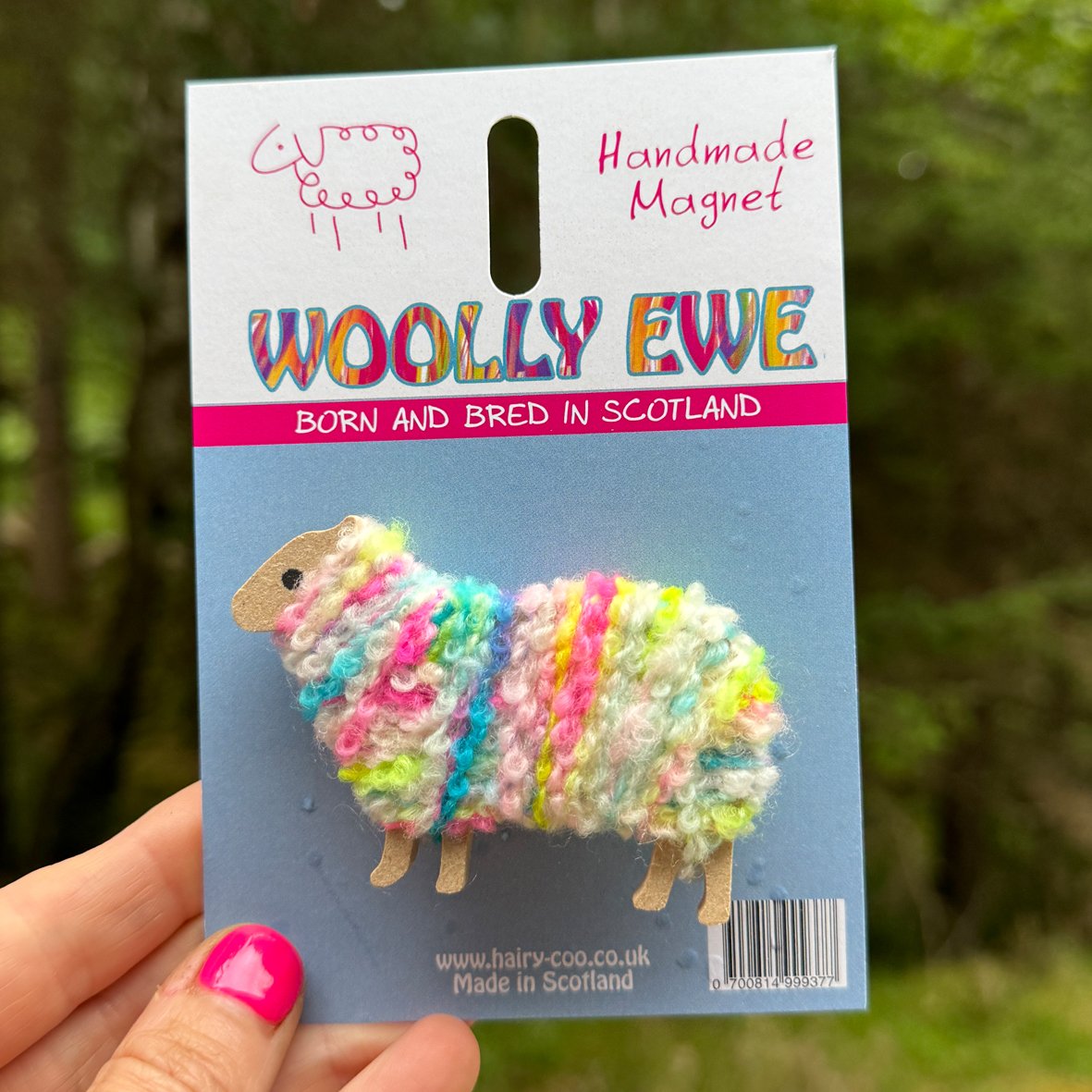 Woolly Ewe - Sheep Magnets