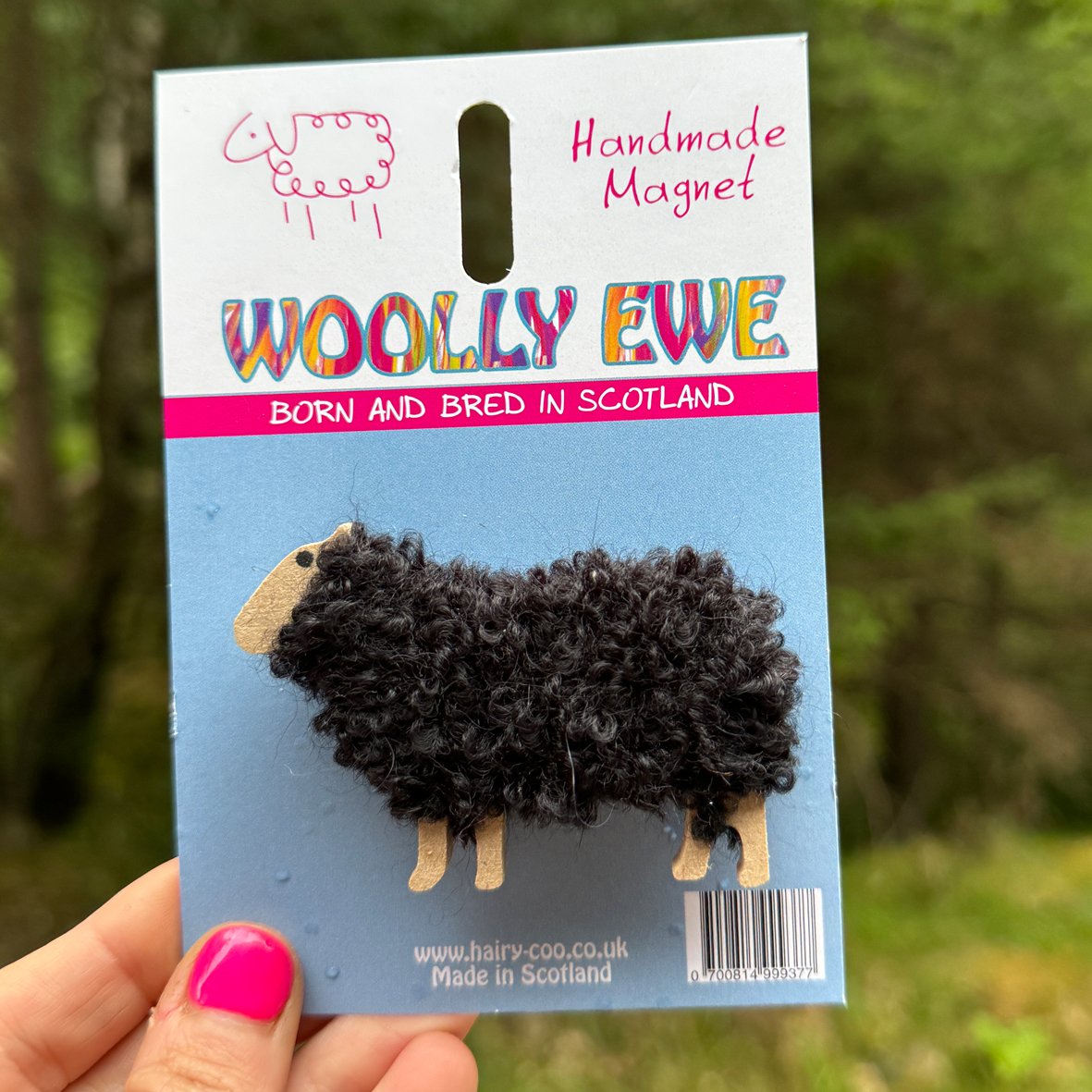Woolly Ewe - Sheep Magnets