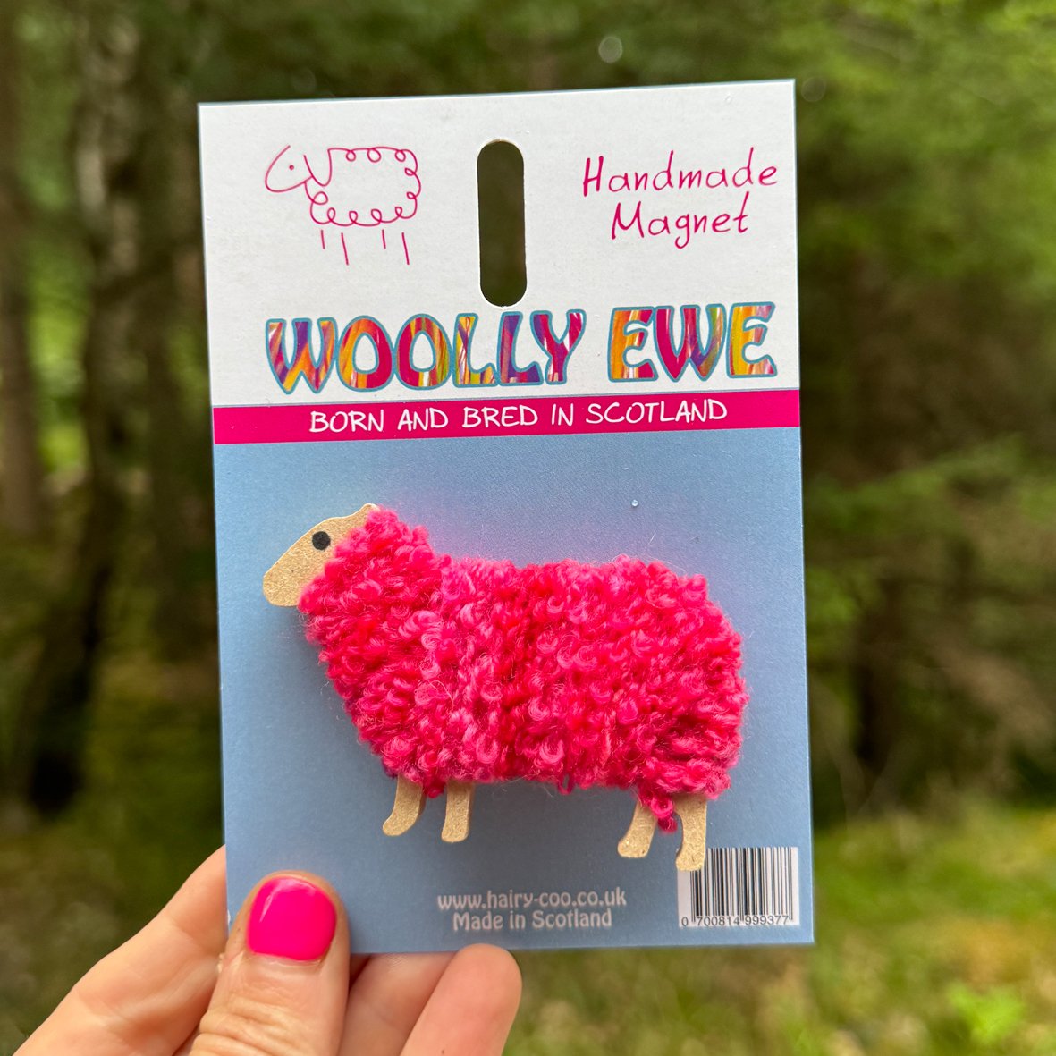 Woolly Ewe - Sheep Magnets