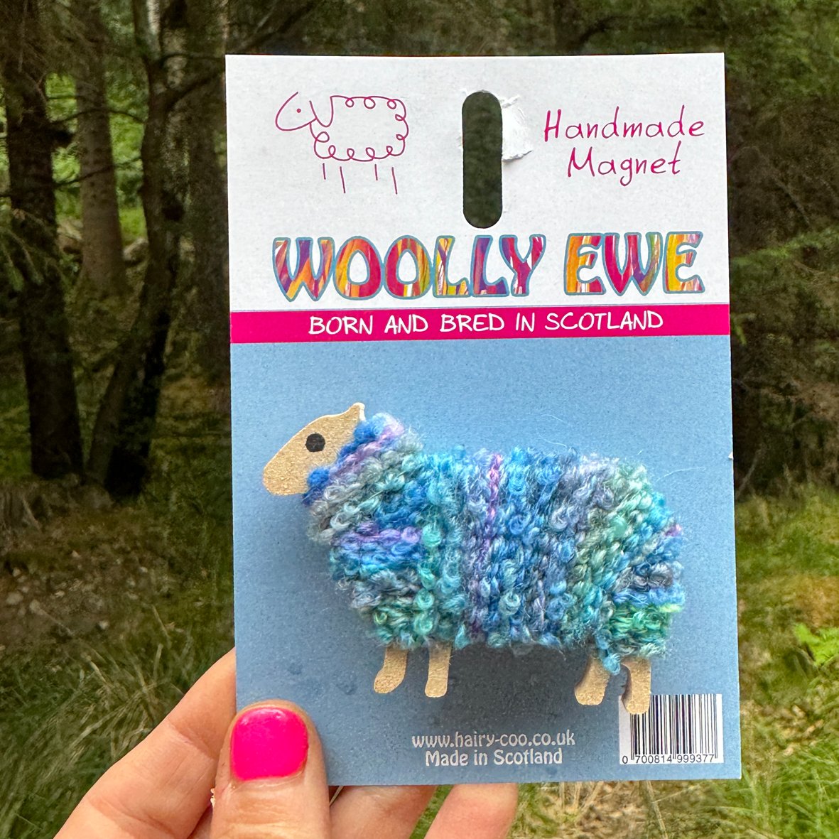 Woolly Ewe - Sheep Magnets
