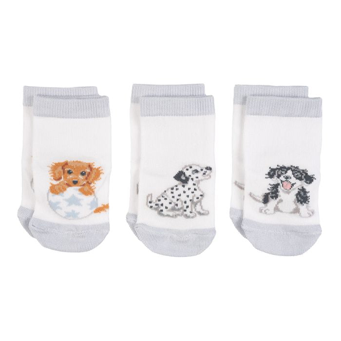 Little Paws Dog Baby Socks by Wrendale